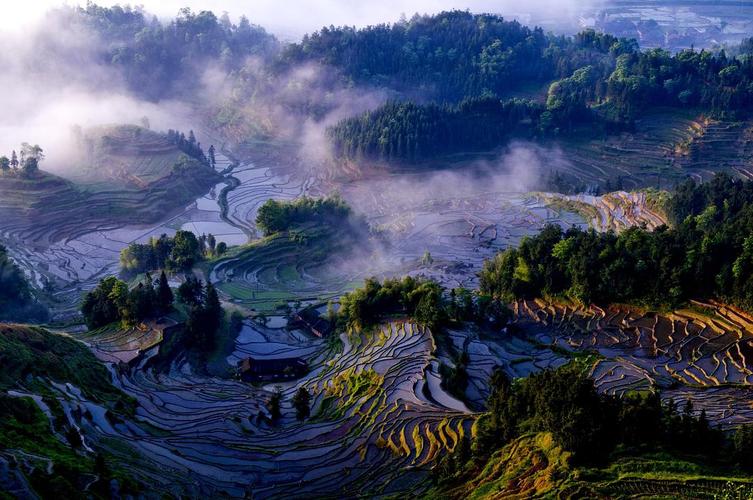 在江西省贑州市崇义县,是全球重要农业文化遗产 " 中国南方稻作梯田 "