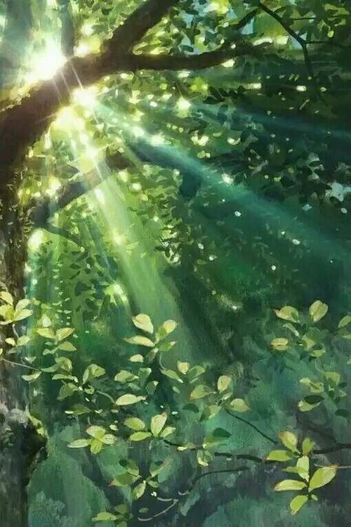 树- 堆糖,美图壁纸兴趣社区