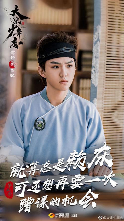 郑伟 大宋少年志