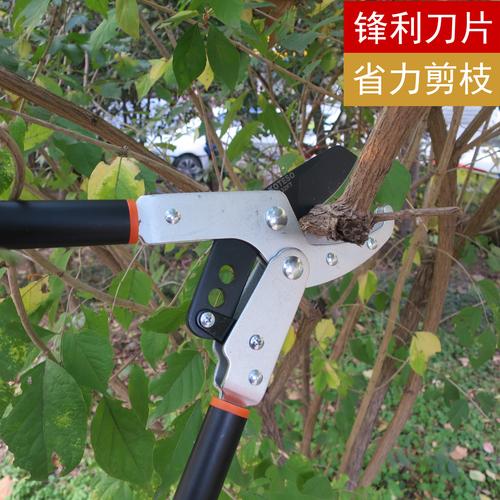 强力粗枝剪省力修剪树枝剪刀果树剪刀园艺修枝剪大剪刀园林大力剪