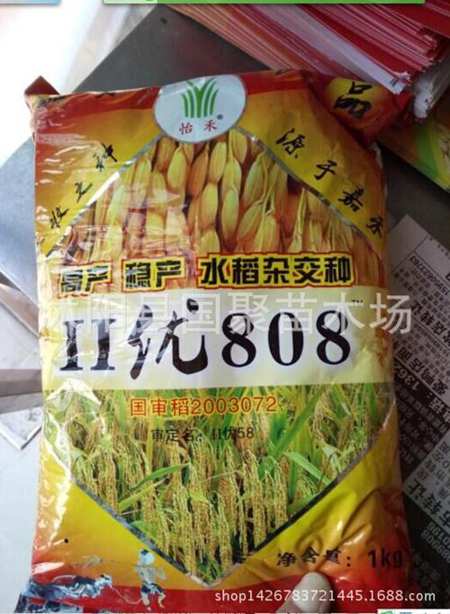批发郑旱6号高产旱稻种子 稻谷种子水稻种子高产高抗病稳产1400斤