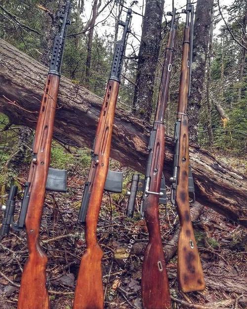 一战乃至二战时的狙击步枪与普通步枪基本无异