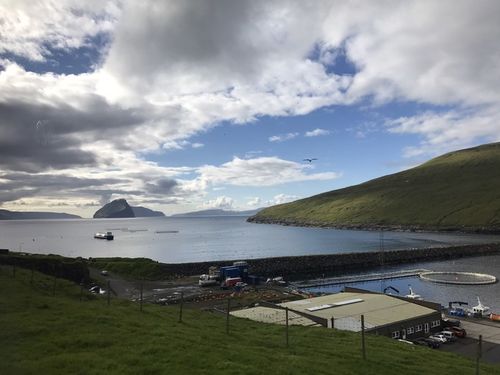 一个人在法罗群岛faroeislands