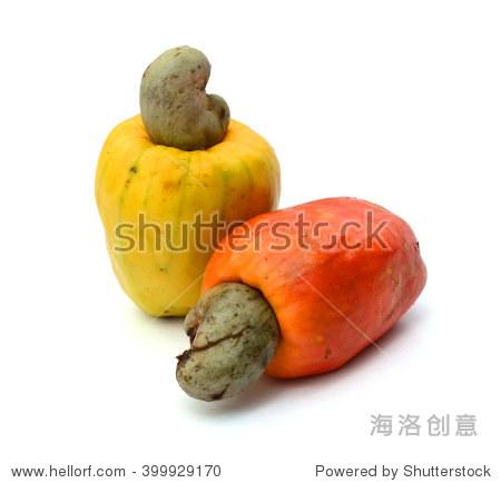 cashew fruit and nut (anacardium occidentale)