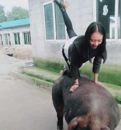 姑娘当众表演花式骑猪,猪还能骑出这些花样,只为在网上出名