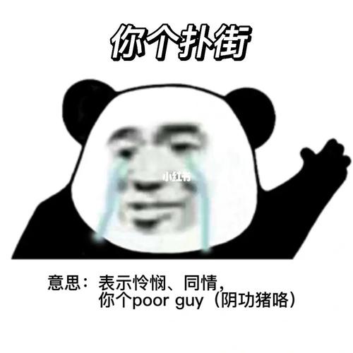 粤语表情包6 好有同情心的广东人_表情包_粤语_熊猫怎么样_熊猫_素材