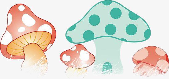 关于种植蘑菇的手抄报 手抄报图片大全