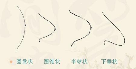 乳房有几种型状