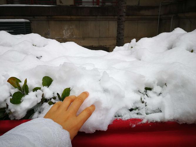 瑞雪兆金陵
