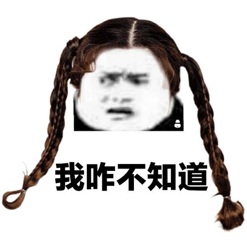 不是的孙子你理解错了熊猫头怼人表情包