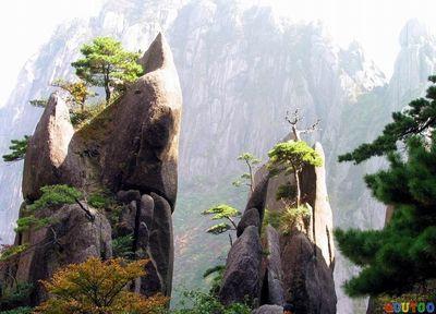 二年级天狗望月狮子抢球仙女弹琴的手抄报 二年级手抄报