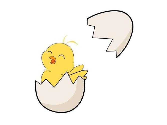 小班:小鸡出壳(线描画)