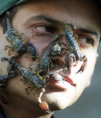 组图:巴基斯坦一男青年与蝎子毒蛇亲密接触