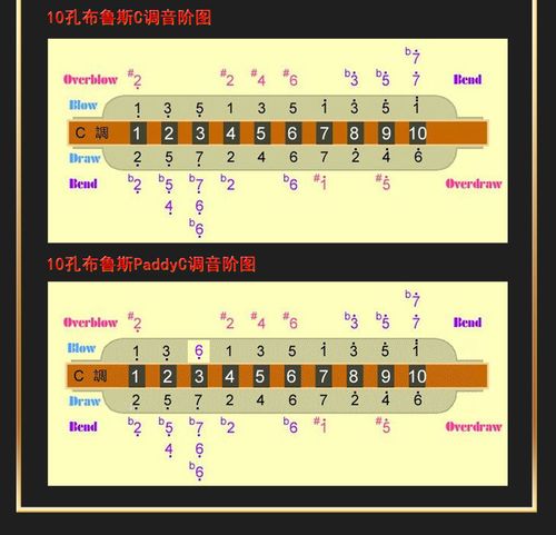 easttop东方鼎t008s/t008 10孔布鲁斯口琴蓝调十孔口琴正品 008s哑黑