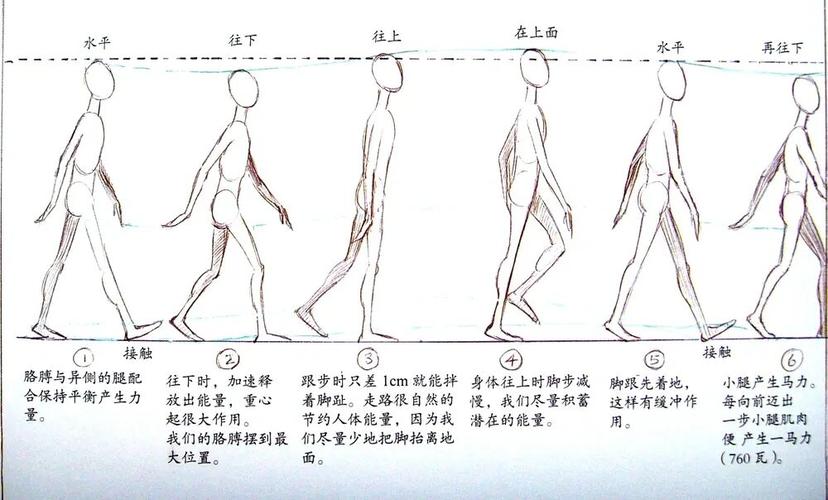 动画运动规律-行走_动画_运动_动画原理_教育_教育其他