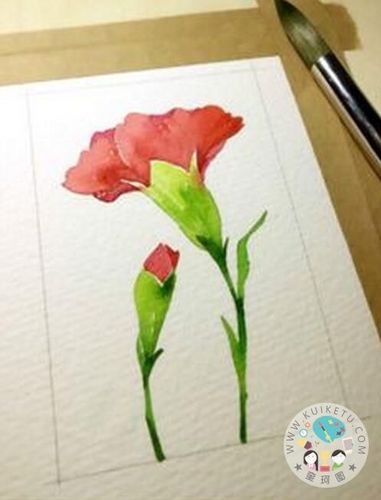 康乃馨怎么画康乃馨水彩画步骤