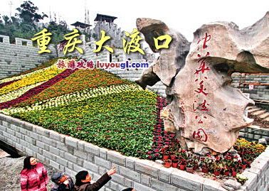 重庆大渡口旅游攻略地图