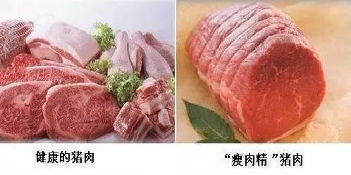 关于瘦肉精,你需要知道这些事