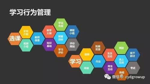 高校慕课成长的烦恼
