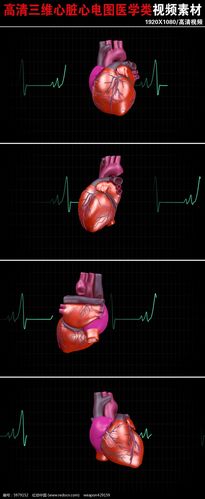 动感心脏三维动画旋转心电图视频素材下载
