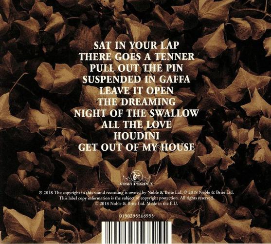 the dreaming (remastered)