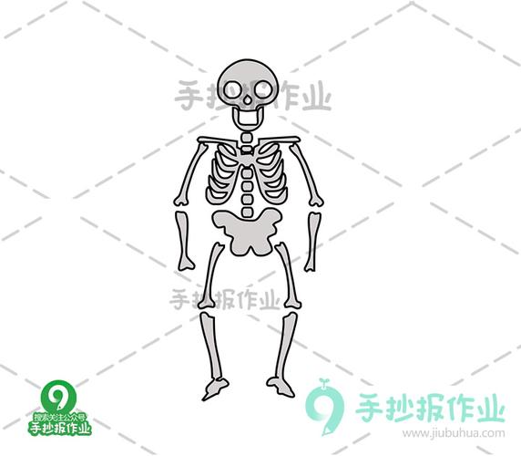 万圣节骷髅骨架简笔画