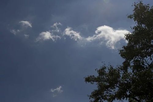 送别张至顺老道长 (转载自油麻菜qq博客)