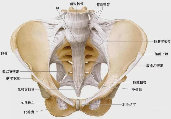 多数腰痛根本不是腰间盘突出而是骶髂关节疼痛别查错了
