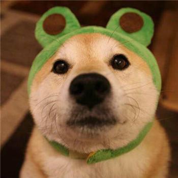 可爱狗子情侣头像一左一右图片