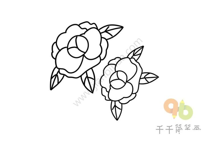 漂亮的山茶花简笔画