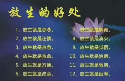 则所放者多,而且不费财力.二者并行,最为有益.   放生的功德利益