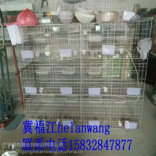 7*2米 鸽子笼厂家   上一个 下一个>  2,鸽笼饮水器的安装.