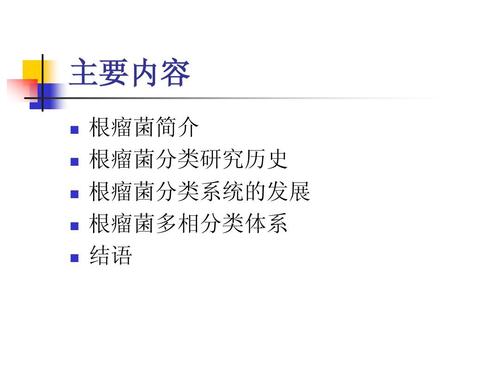 根瘤菌分类研究现状ppt