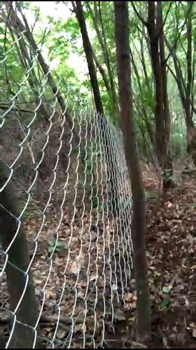 养野猪围栏网 养野猪护栏网