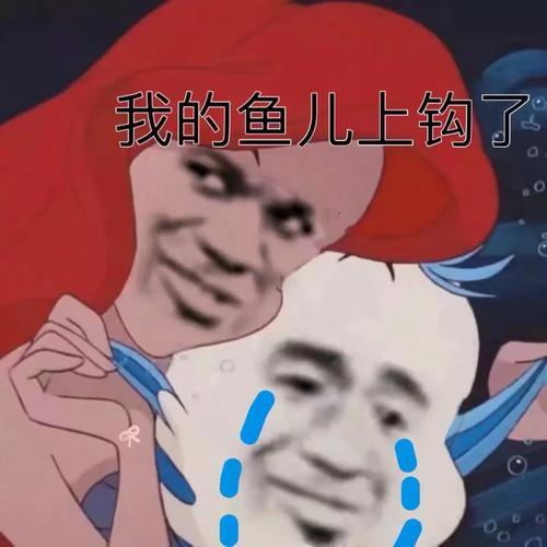 搞笑超逗的表情包,我跟我身边的人啊,我的鱼儿上钩了