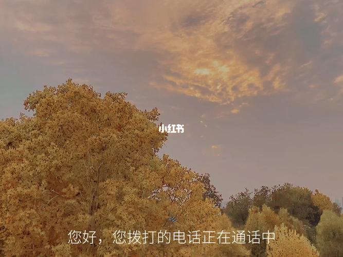 文案/关于秋天的文案_秋天去哪玩_夏天去哪玩_文案_夕阳_浪漫_枫叶