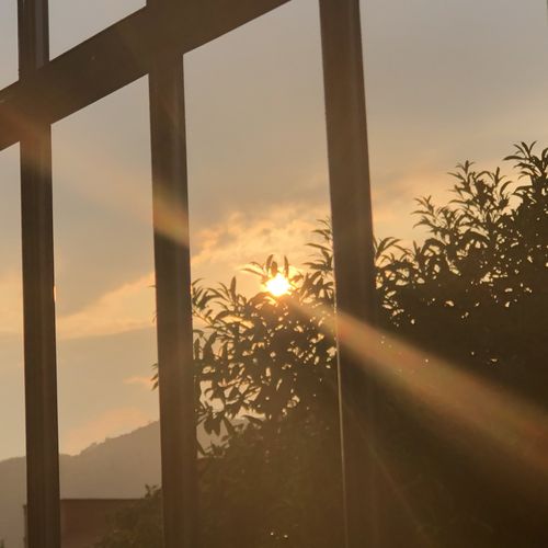 阳光透过高三(1)班的窗户照在我们身上