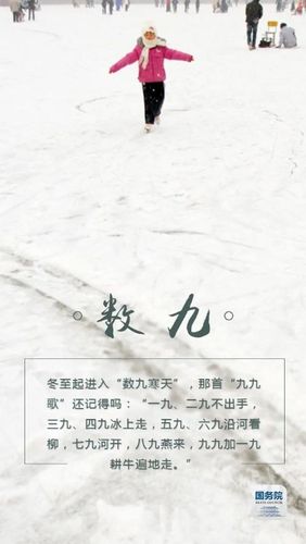 草莓三班节气活动——冬至大如年