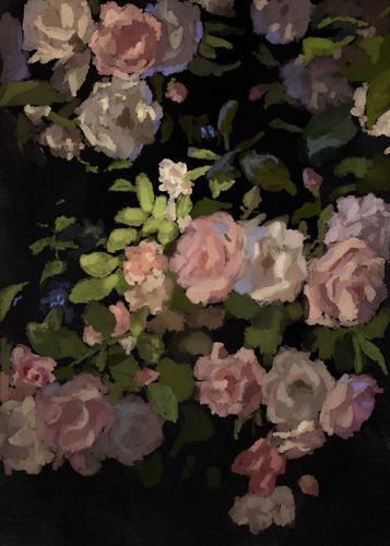 画画昨天晚上拍到的夜蔷薇,想和.