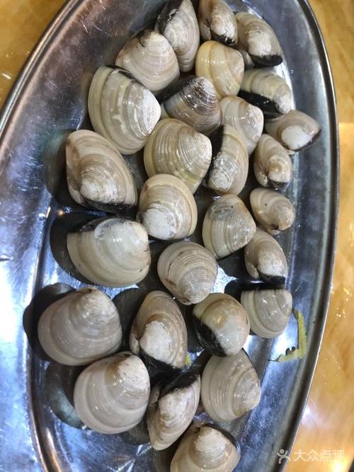 新年记鱼村沙白图片 - 第4张