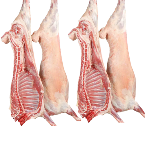 精选新疆牧场草膘羊,不育肥不催肥;定量分割