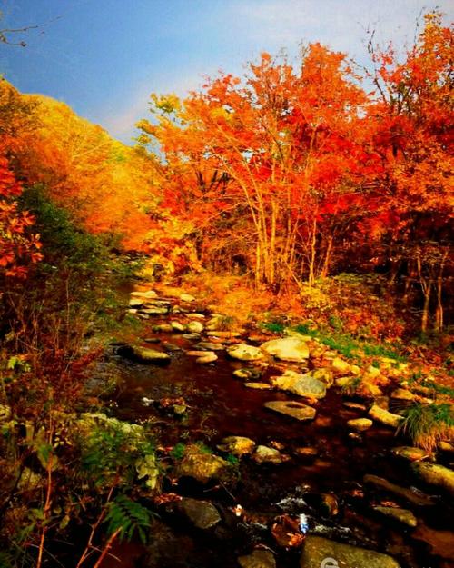 洋湖沟刘波农家院