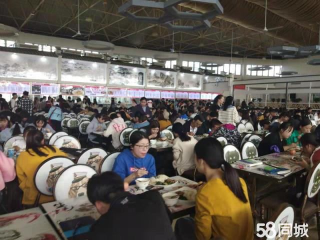(出租) 泰安科技大学泰山学院泰安力明学院泰安财经大学食堂档口学校