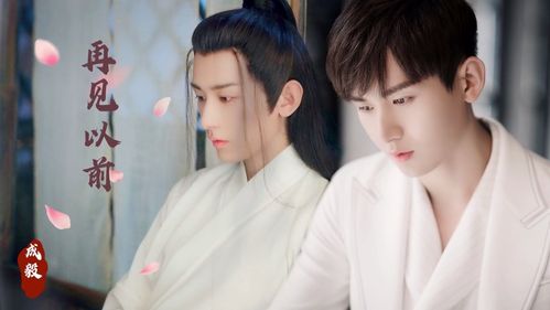 成毅《再见以前》