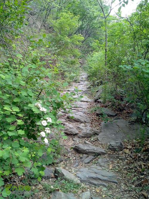  p>香山古道沿起于四百年前香山卖货郎到门头沟卖货走出来的一古步道