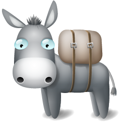donkey