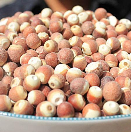 芡实和莲子有什么区别?通俗点.我看图片分不大出来.