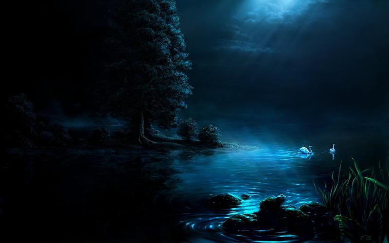 swan_night_by_fel_x 1680×1050 第19张壁纸 - 猫猫