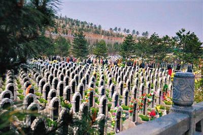 昨日,八宝山人民公墓,市民在骨灰墙前为亲人献花.