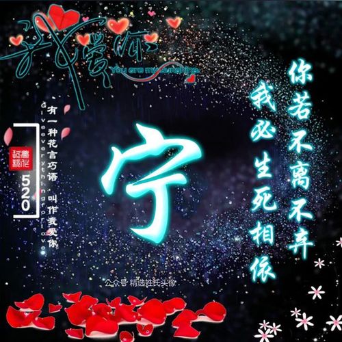 2021红玫瑰爱情姓氏头像你若不离不弃我必生死相依